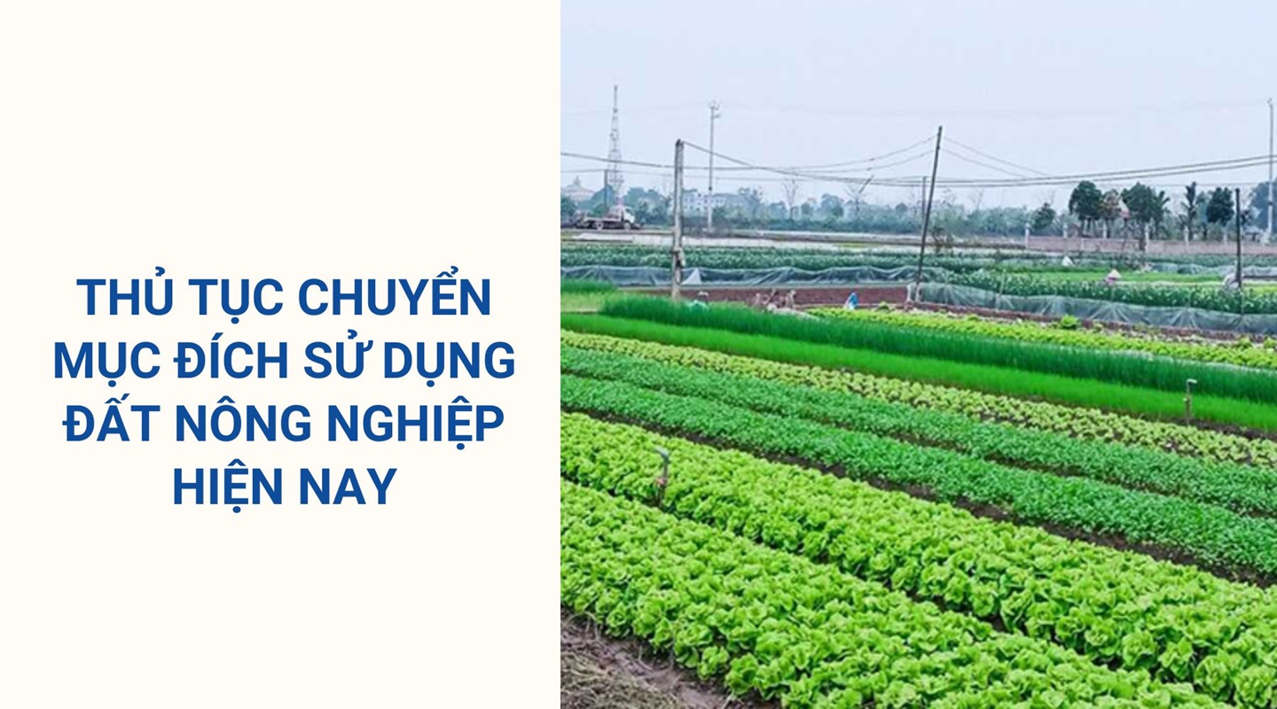 Dịch vụ Chuyển mục đích sử dụng đất Tây Ninh uy tín